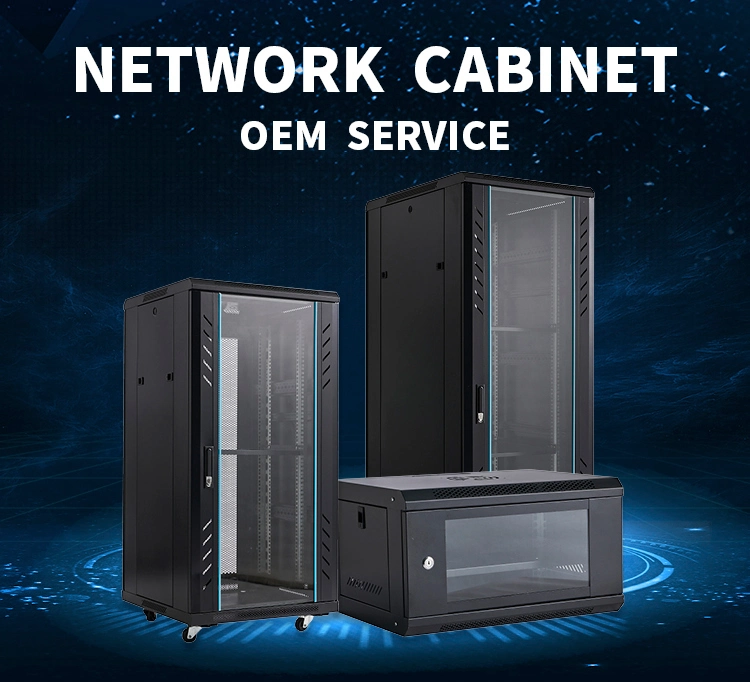 Network Cabinet Server Rack and Accessories