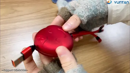 Mini Design Data Cables New Products 3 in 1 USB Cable Micro USB Data Cable USB Cable Logo Custom Logo Gifts Personalized